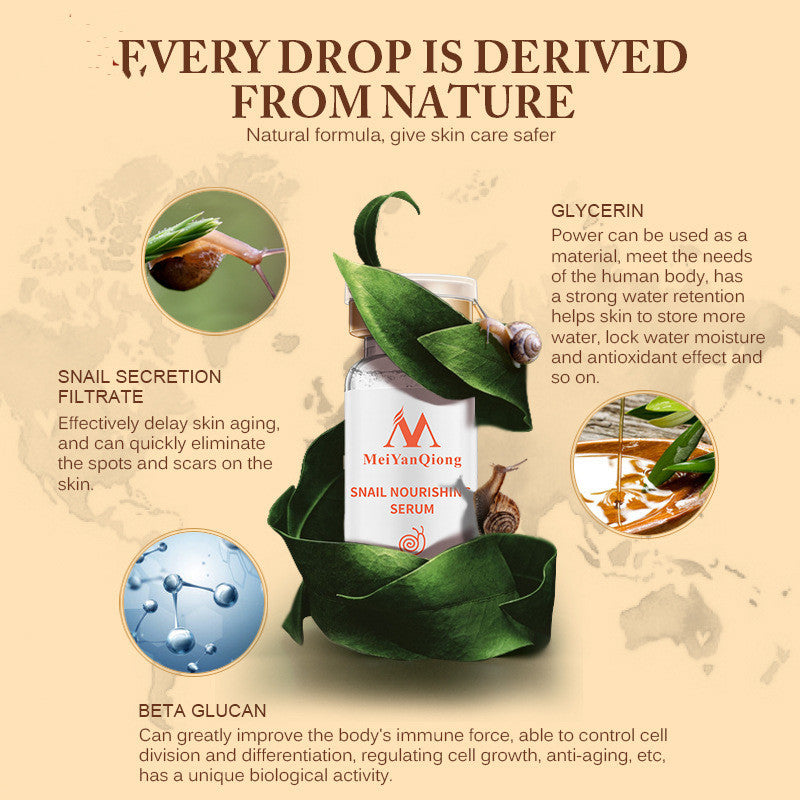 High Quality Snail Hyaluronic Acid Liquid Whitening Spot Serum